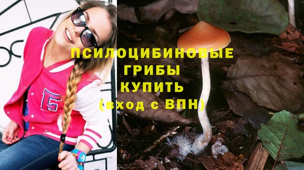 метадон Белокуриха